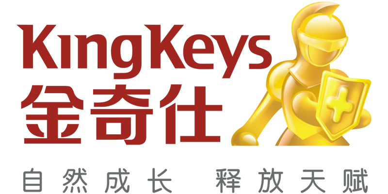 金奇仕 KingKeys